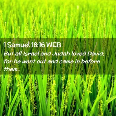 Picture 02 - 1 Samuel 18:16 WEB - But all Israel and Judah loved David; for he went - Bible Verse Picture