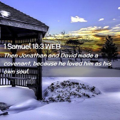 Picture 02 - 1 Samuel 18:3 WEB - Then Jonathan and David made a covenant, because - Bible Verse Picture