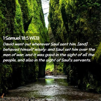 Picture 02 - 1 Samuel 18:5 WEB - David went out wherever Saul sent him, [and] - Bible Verse Picture