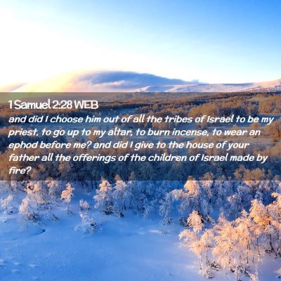 Picture 02 - 1 Samuel 2:28 WEB - and did I choose him out of all the tribes of - Bible Verse Picture