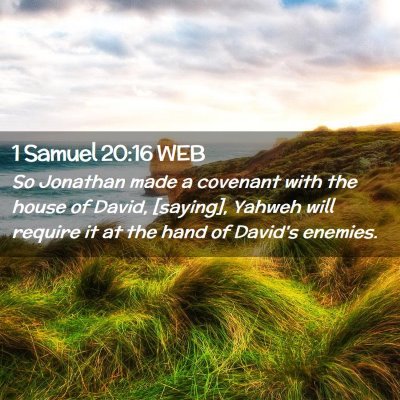 Picture 02 - 1 Samuel 20:16 WEB - So Jonathan made a covenant with the house of - Bible Verse Picture