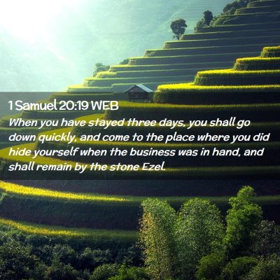 Picture 02 - 1 Samuel 20:19 WEB - When you have stayed three days, you shall go - Bible Verse Picture