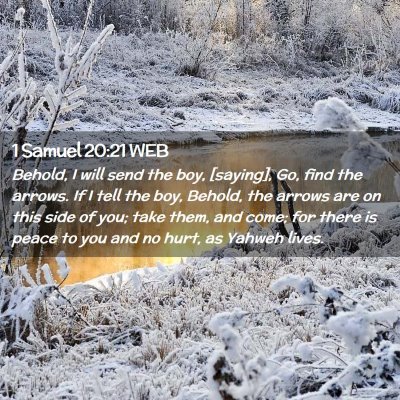 Picture 02 - 1 Samuel 20:21 WEB - Behold, I will send the boy, [saying], Go, find - Bible Verse Picture