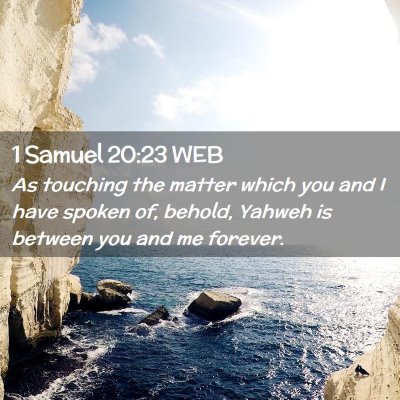 Picture 02 - 1 Samuel 20:23 WEB - As touching the matter which you and I have - Bible Verse Picture