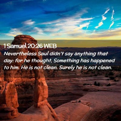 Picture 02 - 1 Samuel 20:26 WEB - Nevertheless Saul didn't say anything that day: - Bible Verse Picture
