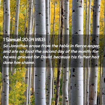 Picture 02 - 1 Samuel 20:34 WEB - So Jonathan arose from the table in fierce anger, - Bible Verse Picture