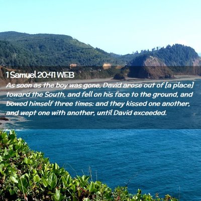 Picture 02 - 1 Samuel 20:41 WEB - As soon as the boy was gone, David arose out of - Bible Verse Picture