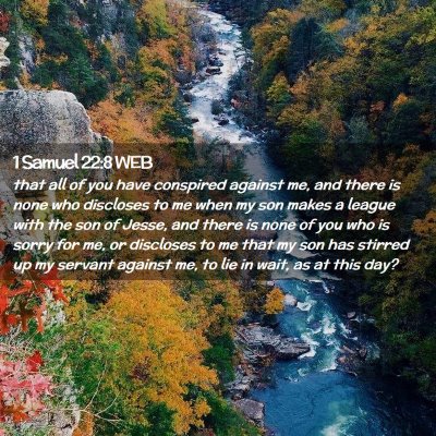 Picture 02 - 1 Samuel 22:8 WEB - that all of you have conspired against me, and - Bible Verse Picture