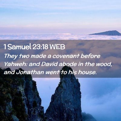 Picture 02 - 1 Samuel 23:18 WEB - They two made a covenant before Yahweh: and David - Bible Verse Picture
