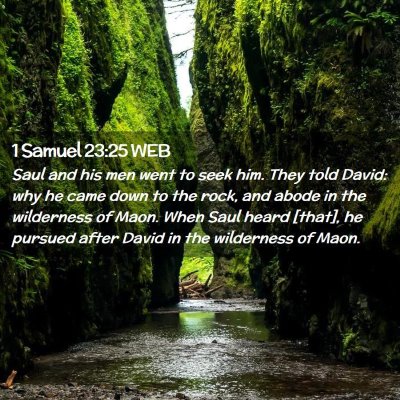 Picture 02 - 1 Samuel 23:25 WEB - Saul and his men went to seek him. They told - Bible Verse Picture