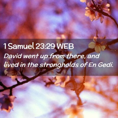 Picture 02 - 1 Samuel 23:29 WEB - David went up from there, and lived in the - Bible Verse Picture