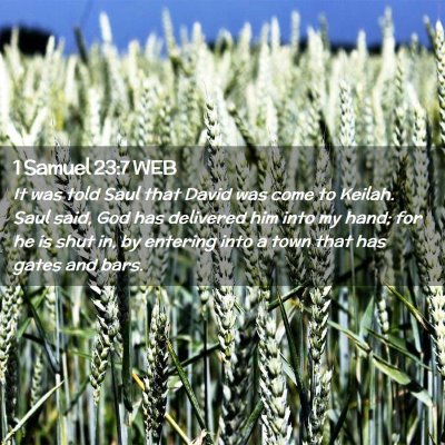 Picture 02 - 1 Samuel 23:7 WEB - It was told Saul that David was come to Keilah. - Bible Verse Picture