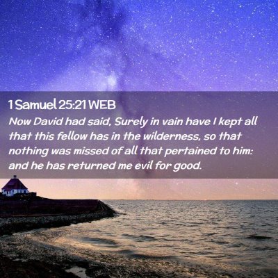 Picture 02 - 1 Samuel 25:21 WEB - Now David had said, Surely in vain have I kept - Bible Verse Picture