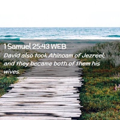 Picture 02 - 1 Samuel 25:43 WEB - David also took Ahinoam of Jezreel; and they - Bible Verse Picture