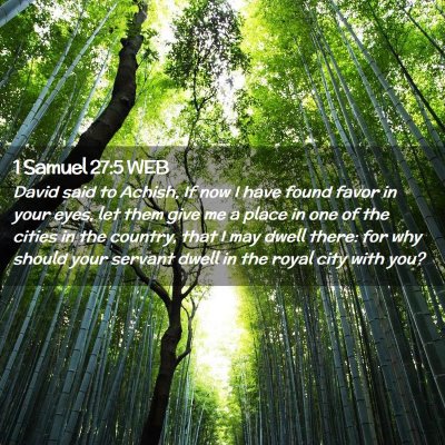 Picture 02 - 1 Samuel 27:5 WEB - David said to Achish, If now I have found favor - Bible Verse Picture
