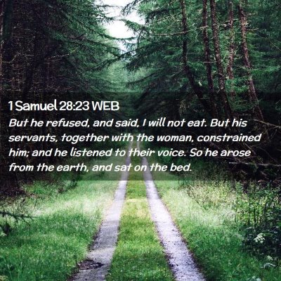 Picture 02 - 1 Samuel 28:23 WEB - But he refused, and said, I will not eat. But his - Bible Verse Picture
