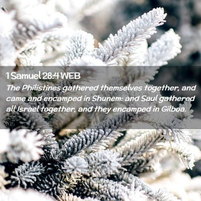 Picture 02 - 1 Samuel 28:4 WEB - The Philistines gathered themselves together, and - Bible Verse Picture