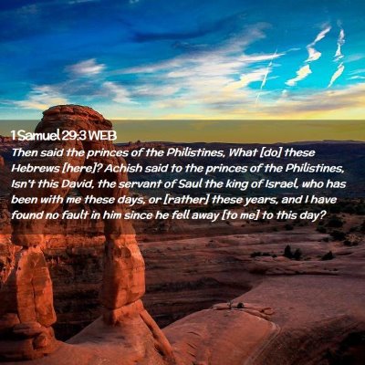Picture 02 - 1 Samuel 29:3 WEB - Then said the princes of the Philistines, What - Bible Verse Picture
