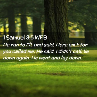 Picture 02 - 1 Samuel 3:5 WEB - He ran to Eli, and said, Here am I; for you - Bible Verse Picture