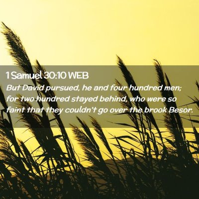 Picture 02 - 1 Samuel 30:10 WEB - But David pursued, he and four hundred men; for - Bible Verse Picture
