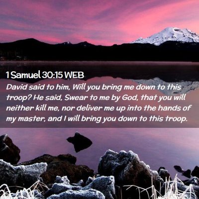 Picture 02 - 1 Samuel 30:15 WEB - David said to him, Will you bring me down to this - Bible Verse Picture