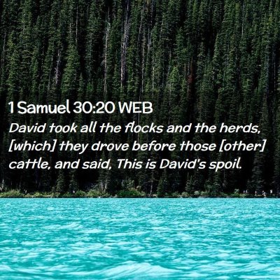 Picture 02 - 1 Samuel 30:20 WEB - David took all the flocks and the herds, [which] - Bible Verse Picture