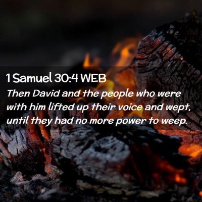 Picture 02 - 1 Samuel 30:4 WEB - Then David and the people who were with him - Bible Verse Picture