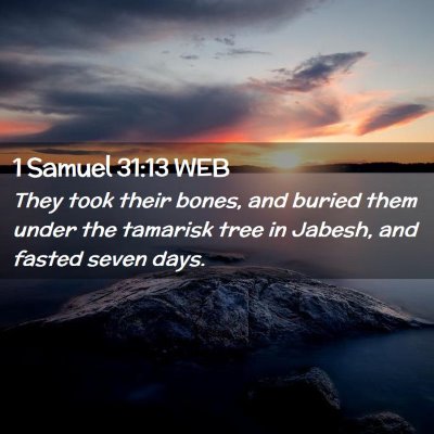 Picture 02 - 1 Samuel 31:13 WEB - They took their bones, and buried them under the - Bible Verse Picture