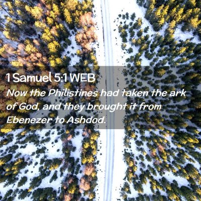 Picture 02 - 1 Samuel 5:1 WEB - Now the Philistines had taken the ark of God, and - Bible Verse Picture