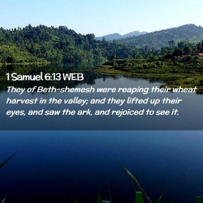 Picture 02 - 1 Samuel 6:13 WEB - They of Beth-shemesh were reaping their wheat - Bible Verse Picture