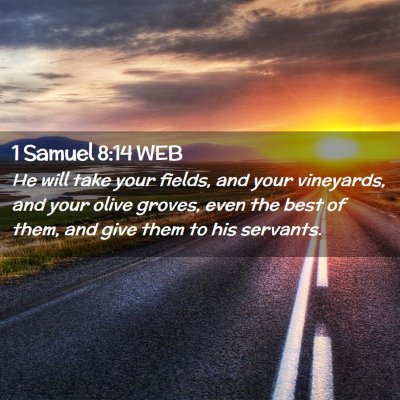 Picture 02 - 1 Samuel 8:14 WEB - He will take your fields, and your vineyards, and - Bible Verse Picture