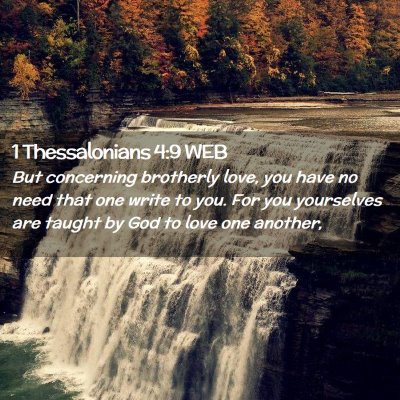 Picture 02 - 1 Thessalonians 4:9 WEB - But concerning brotherly love, you have no need - Bible Verse Picture