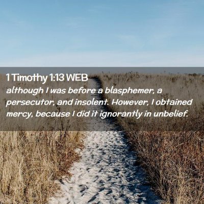 Picture 02 - 1 Timothy 1:13 WEB - although I was before a blasphemer, a persecutor, - Bible Verse Picture