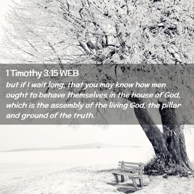 Picture 02 - 1 Timothy 3:15 WEB - but if I wait long, that you may know how men - Bible Verse Picture