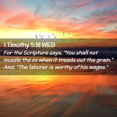 Picture 02 - 1 Timothy 5:18 WEB - For the Scripture says, 