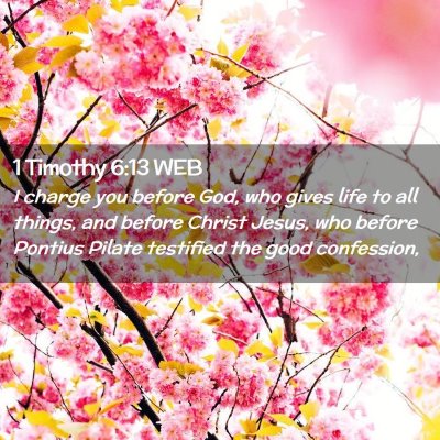 Picture 02 - 1 Timothy 6:13 WEB - I charge you before God, who gives life to all - Bible Verse Picture