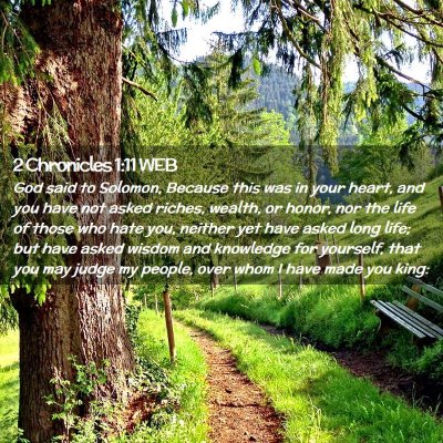 Picture 02 - 2 Chronicles 1:11 WEB - God said to Solomon, Because this was in your - Bible Verse Picture