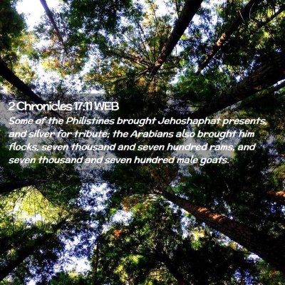 Picture 02 - 2 Chronicles 17:11 WEB - Some of the Philistines brought Jehoshaphat - Bible Verse Picture