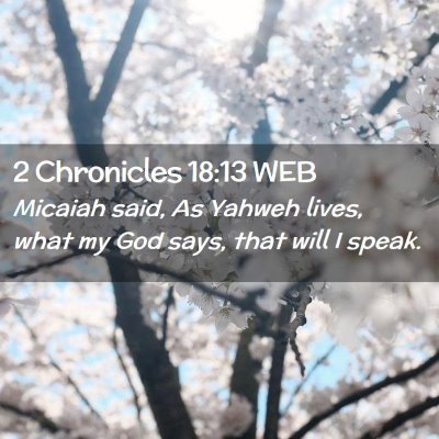 Picture 02 - 2 Chronicles 18:13 WEB - Micaiah said, As Yahweh lives, what my God says, - Bible Verse Picture