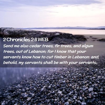 Picture 02 - 2 Chronicles 2:8 WEB - Send me also cedar trees, fir trees, and algum - Bible Verse Picture
