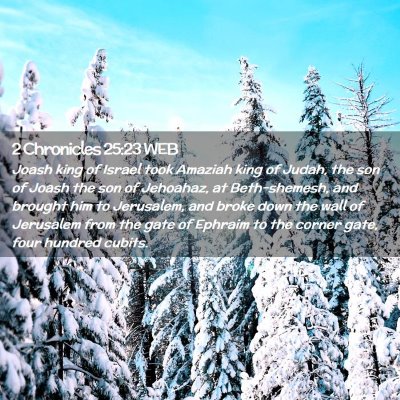 Picture 02 - 2 Chronicles 25:23 WEB - Joash king of Israel took Amaziah king of Judah, - Bible Verse Picture