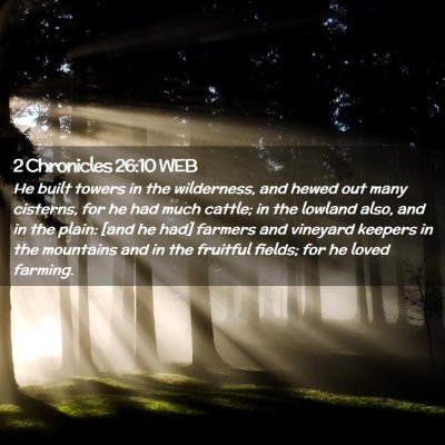 Picture 02 - 2 Chronicles 26:10 WEB - He built towers in the wilderness, and hewed out - Bible Verse Picture
