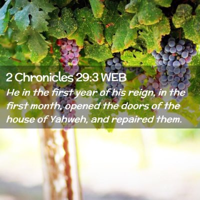 Picture 02 - 2 Chronicles 29:3 WEB - He in the first year of his reign, in the first - Bible Verse Picture