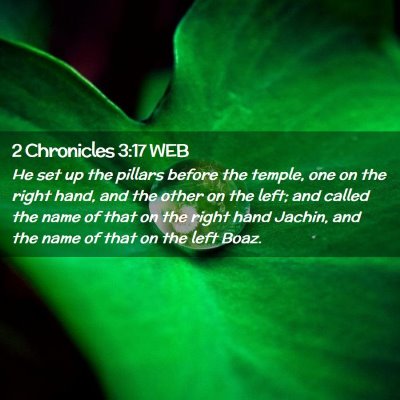 Picture 02 - 2 Chronicles 3:17 WEB - He set up the pillars before the temple, one on - Bible Verse Picture