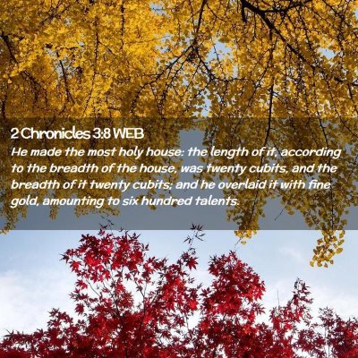 Picture 02 - 2 Chronicles 3:8 WEB - He made the most holy house: the length of it, - Bible Verse Picture