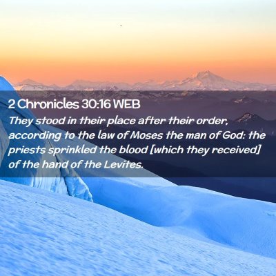 Picture 02 - 2 Chronicles 30:16 WEB - They stood in their place after their order, - Bible Verse Picture