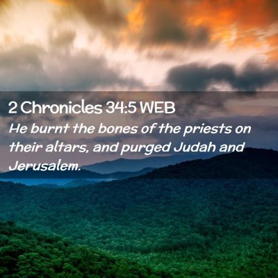 Picture 02 - 2 Chronicles 34:5 WEB - He burnt the bones of the priests on their - Bible Verse Picture