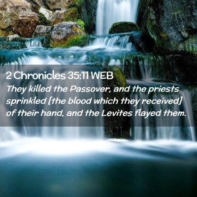 Picture 02 - 2 Chronicles 35:11 WEB - They killed the Passover, and the priests - Bible Verse Picture