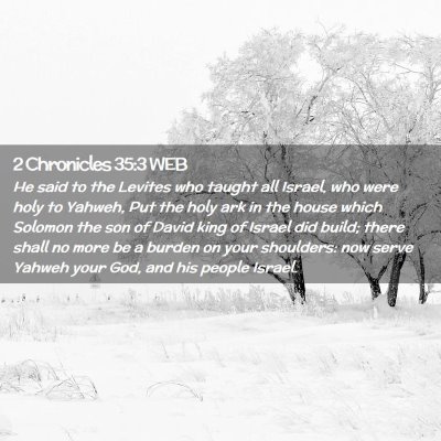 Picture 02 - 2 Chronicles 35:3 WEB - He said to the Levites who taught all Israel, who - Bible Verse Picture