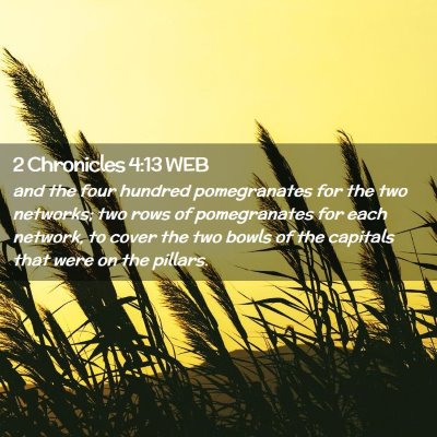 Picture 02 - 2 Chronicles 4:13 WEB - and the four hundred pomegranates for the two - Bible Verse Picture